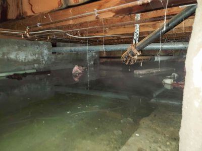 Wet Basement Repair